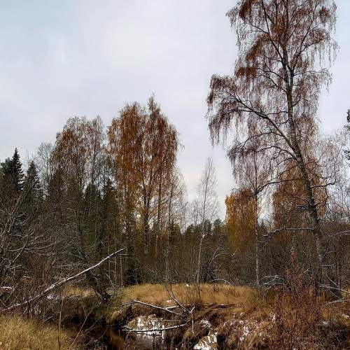 Photo #9789749