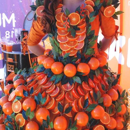 Photo #9790374