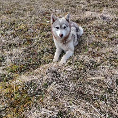Photo #9790416
