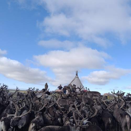 Photo #9790419