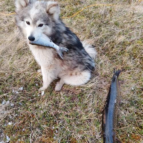 Photo #9790421