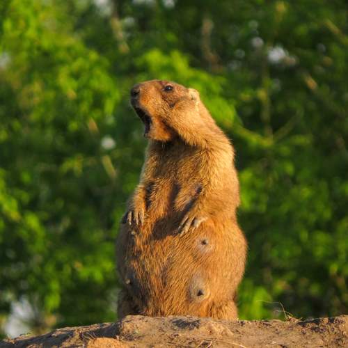 Photo #9790672