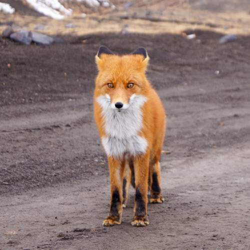 Photo #9790696