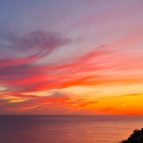 Photo #9791069