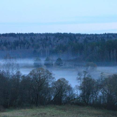 The fog on the river (Nikola-Lenivets)