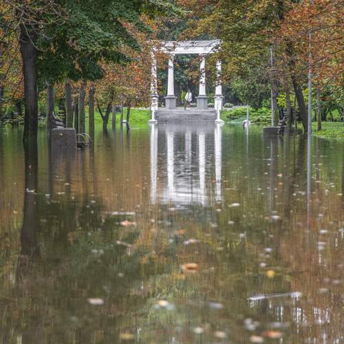 Фотография #9791274