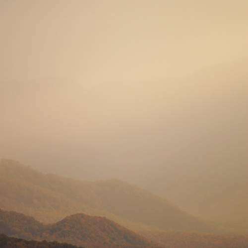 Photo #9791503