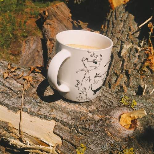 Photo #9791573