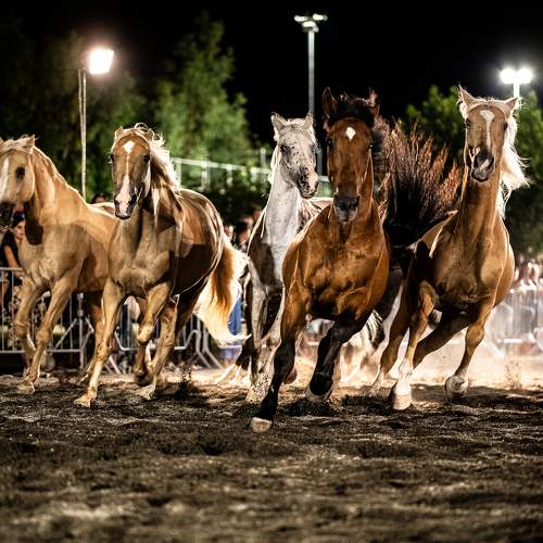 Photo #9791702