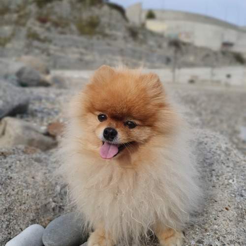 Photo #9791764