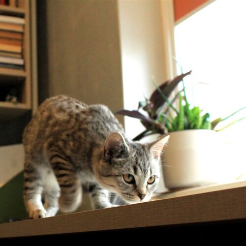 Photo #9791898