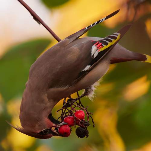Photo #9792023