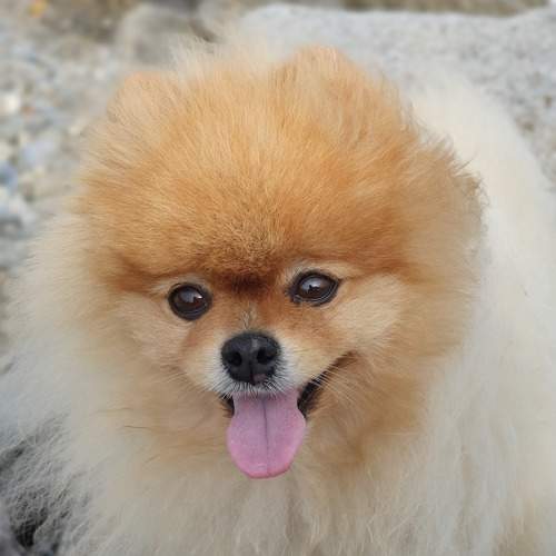 Photo #9792121