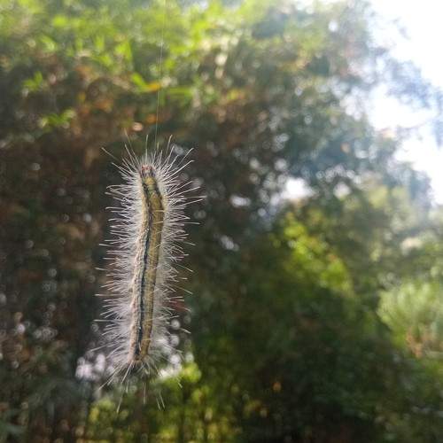 Photo #9792308