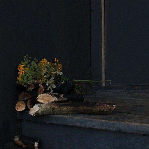Photo #9792380