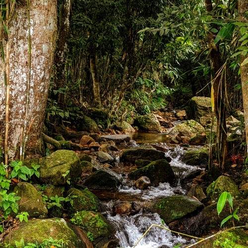 Photo #9792459