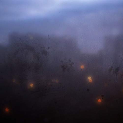 Photo #9792531