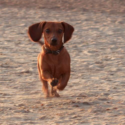 Photo #9792564