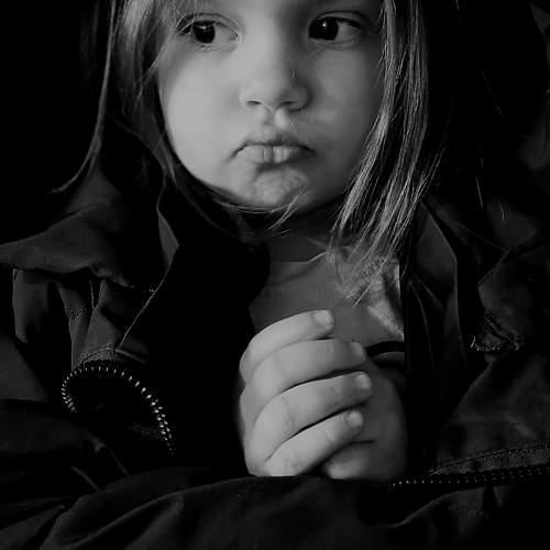 Photo #9792914