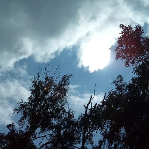 Photo #9793186