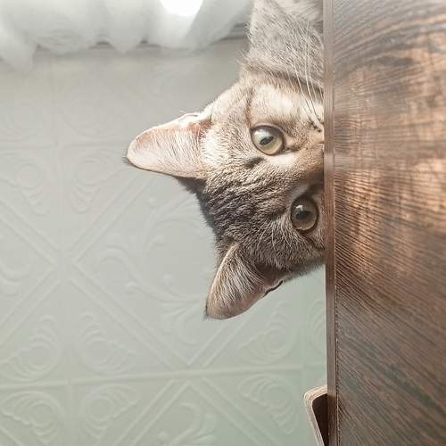 Photo #9793626