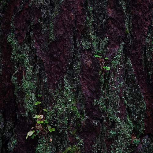 Photo #9794122