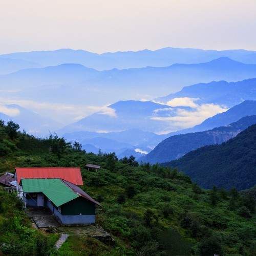 Photo #9794362