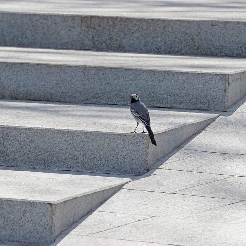 Photo #9795049