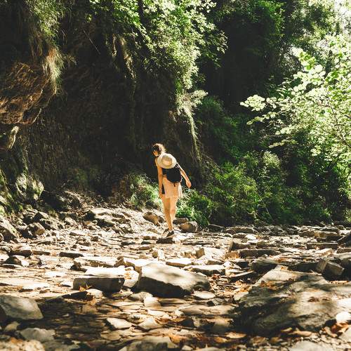 Photo #9795112