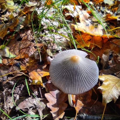 Photo #9795202