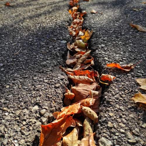 Photo #9795203