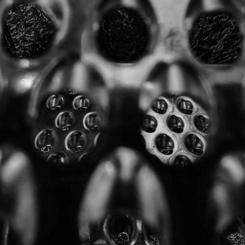 Photo #9795314