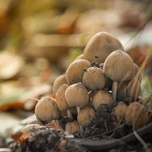 Photo #9796002
