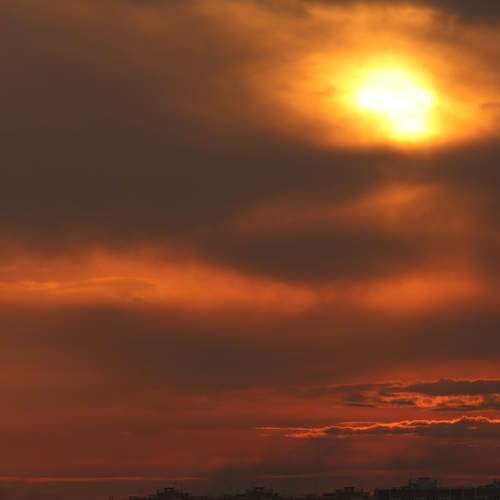 Photo #9796198