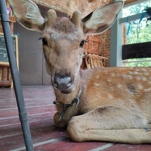 Photo #9796209