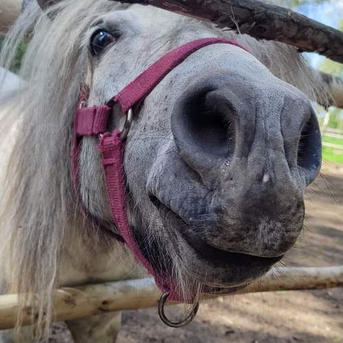 Photo #9796211