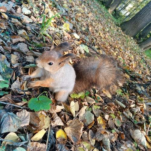 Photo #9796219
