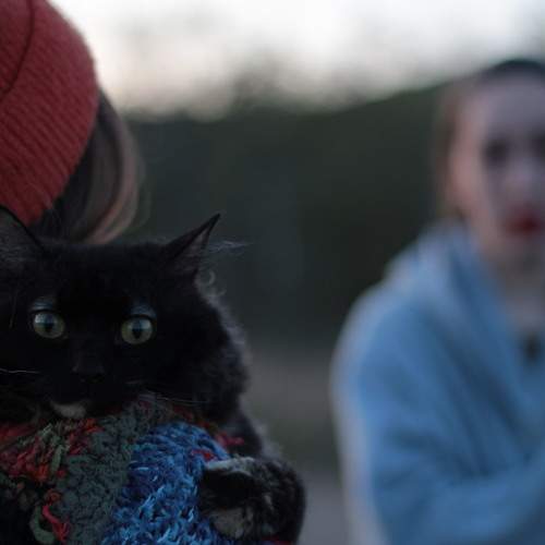 Photo #9796561