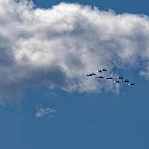 Photo #9797007