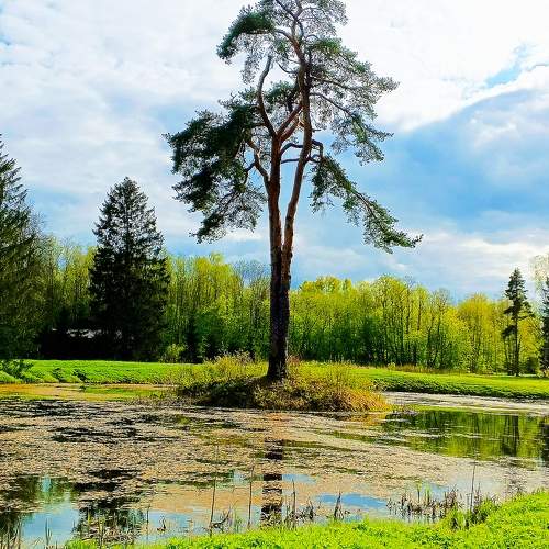 Photo #9797021