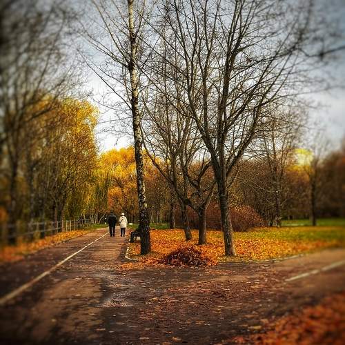 Photo #9797127