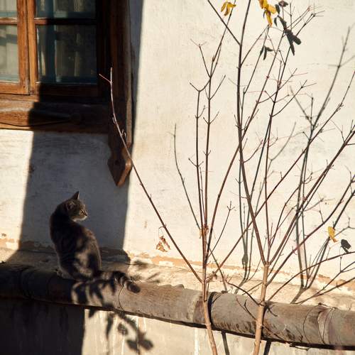 Photo #9797172