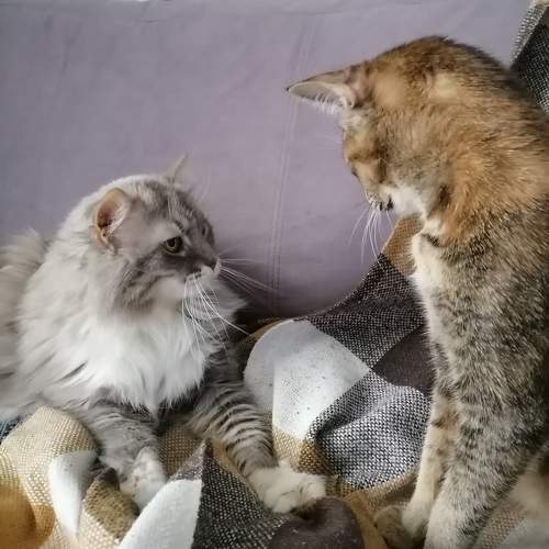 Photo #9797184