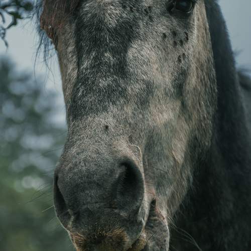 Photo #9797413