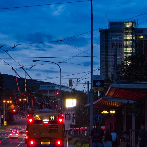 Photo #9797476