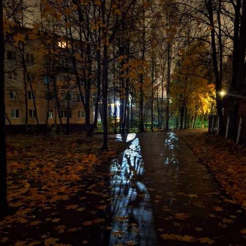 Photo #9797539