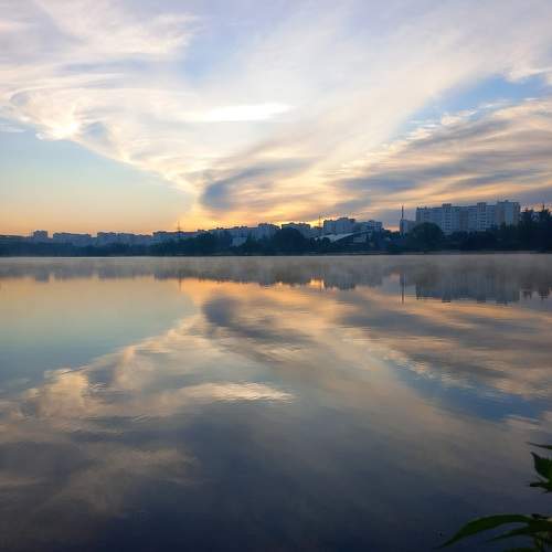 Photo #9797704