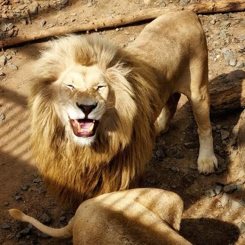 Photo #9797738