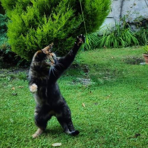 Photo #9797753