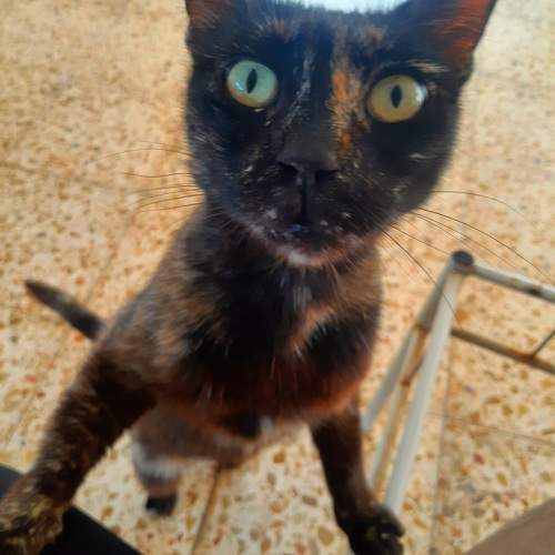 Photo #9797826